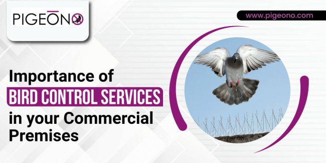 Importance-of-Bird-Control-Services-in-your-Commercial-Premises Importance-of-Bird-Control-Services-in-your-Commercial-Premises